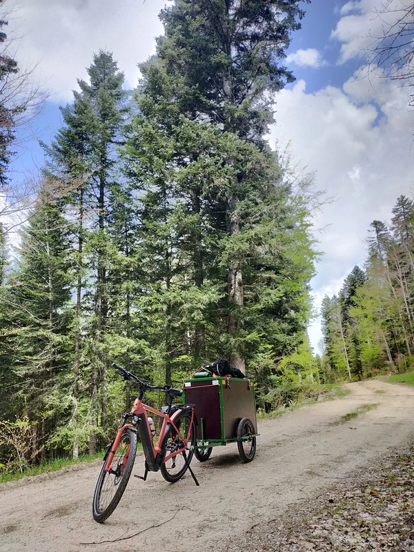 Photo de la remorque sur une route forestière